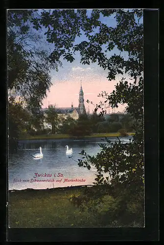 AK Zwickau i. Sa., Blick vom Schwanenteich auf Marienkirche