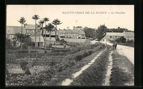 AK Saint-Croix de la Hague, Le Bacchus