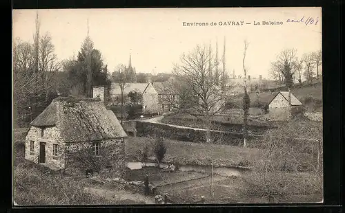 AK Gavray, La Baleine