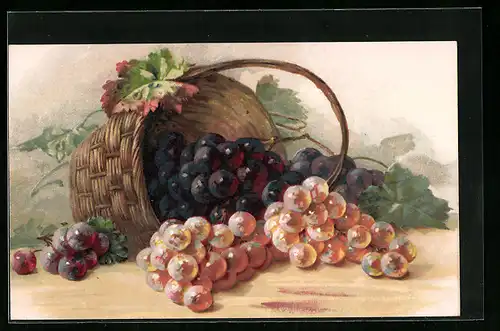 AK Umgekippter Korb mit weissen und roten Weintrauben, Obst