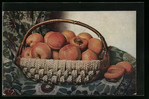 AK Korb mit Aprikosen auf einer Decke, Obst