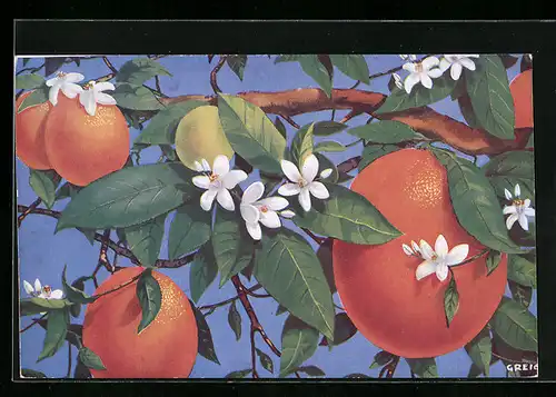 AK Orangen an einem blühenden Baum, Obst