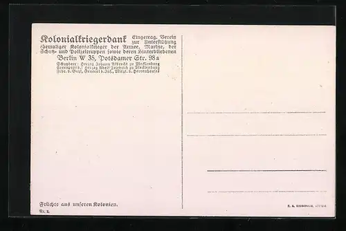 AK Flasche mit Ananas, Weintrauben und Äpfeln, Obst