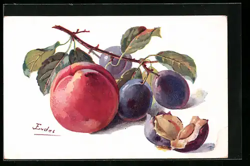 AK Pfirsich neben einem Zweig mit Pflaumen, Obst