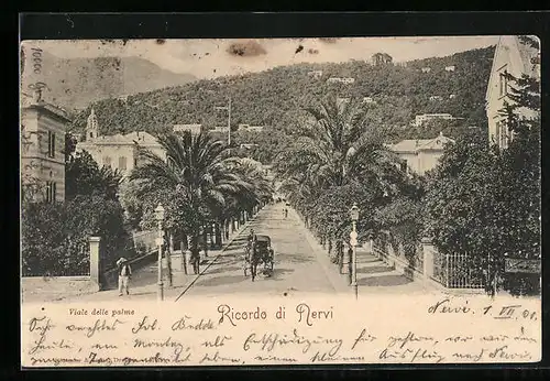 AK Ricordo di Nervi, Viale delle palme