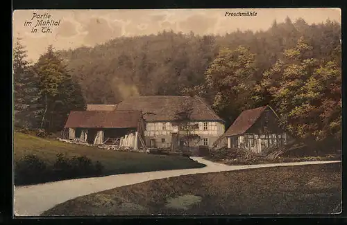 AK Eisenberg /Th., Gasthaus Froschmühle im Mühltal mit Strassenpartie