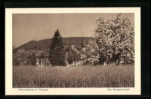 AK Wagenhausen, Ortsansicht vom Feld aus