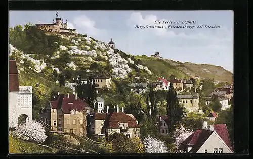 AK Lössnitz, Berg-Gasthaus Friedensburg