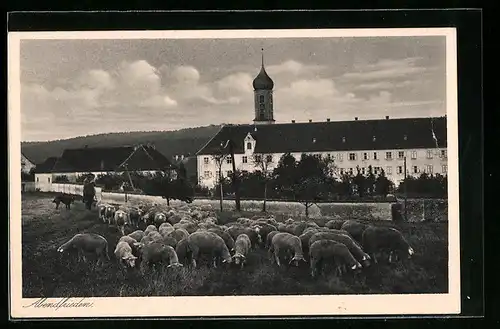 AK Oberschönenfeld, Blick zur Abtei