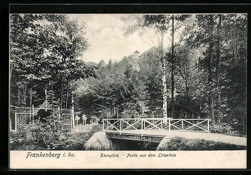 AK Frankenberg / Sa., Sternplatz im Lützeltal