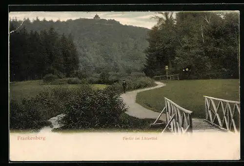 AK Frankenberg / Sa., Weg im Lützeltal