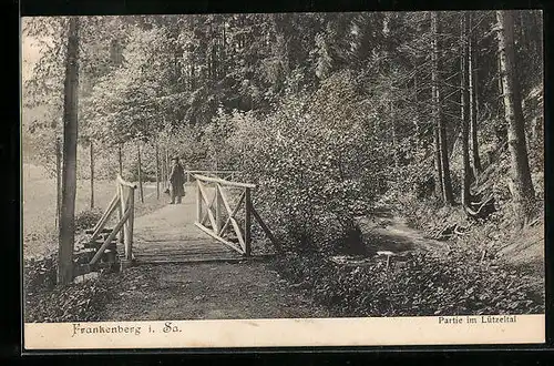 AK Frankenberg / Sa., Wanderweg im Lützeltal