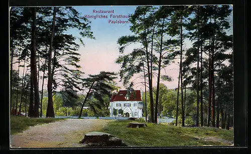 AK Berlin-Grunewald, Restaurant Königliches Forsthaus Paulsborn