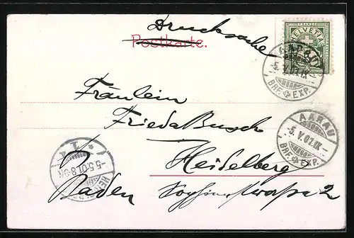 AK Aarau, Blick vom Eisweiher aus gesehen