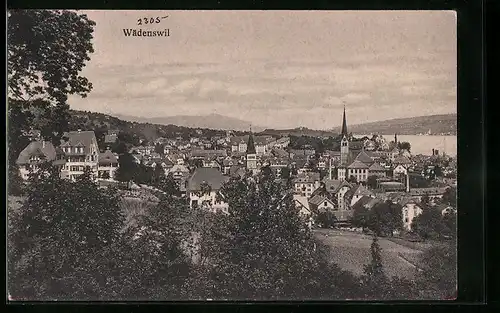 AK Wädenswil, Panorama