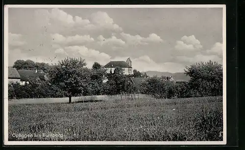 AK Opfingen am Tuniberg, Teilansicht der Ortschaft