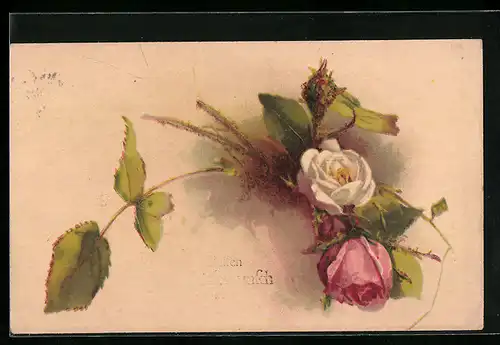 AK Rosafarbene und weiess Rose mit Blättern