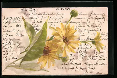 AK Sonnenblumen mit Knospen und Blättern