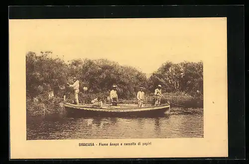 AK Siracusa, Fiume Anapo e raccolta di papiri