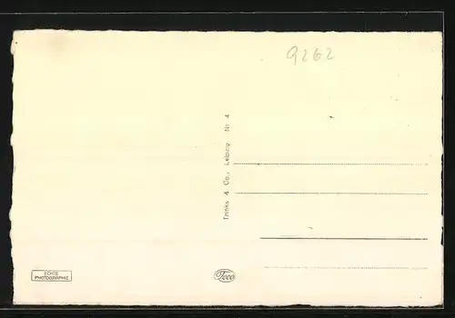 AK Frankenberg i. Sa., Am Rittergut