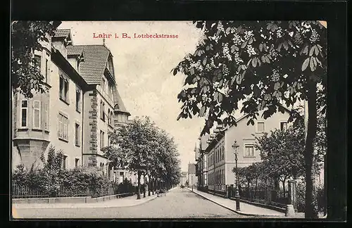 AK Lahr i. B., Lotzbeckstrasse mit Bäumen