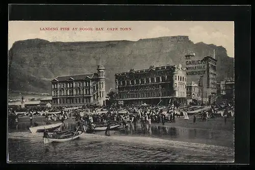 AK Cape Town, Landing Fish at Rogge Bay