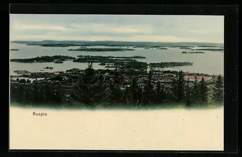AK Kuopio, Panorama