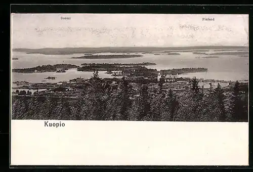 AK Kuopio, Panorama