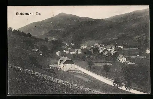AK Eschelmer i. Els., Teilansicht mit Strassenpartie
