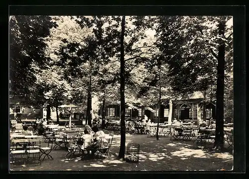 AK Halle /Saale, Dölauer Heide, HOG Knolls Hütte