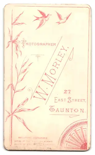 Fotografie W. Morley, Taunton, East Street 27, Junge Dame mit Spitzenkragen im Rüschenrock