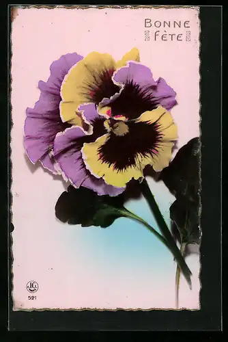 AK Lila-Gelbe Stiefmütterchen