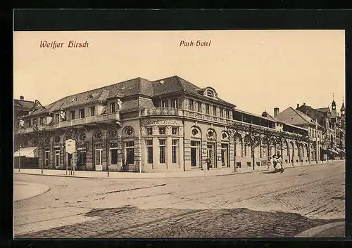 AK Dresden-Weisser Hirsch, Park-Hotel, Bautzner Landstrasse