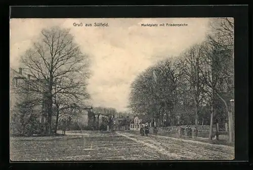 AK Sülfeld, Marktplatz mit Friedenseiche