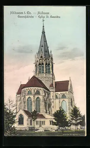 AK Mülhausen i. Els., Ansicht der Genovefakirche