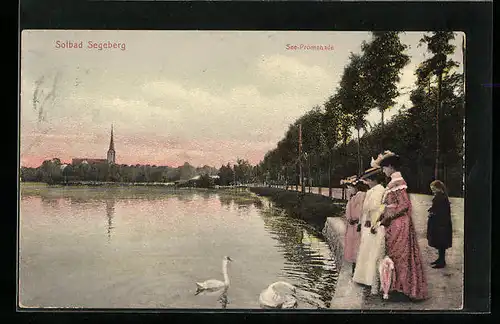 AK Bad Segeberg, See-Promenade, Frauen beim Schwäne füttern