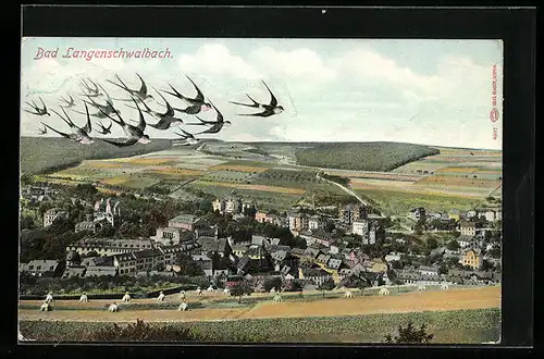 AK Bad Langenschwalbach, Ortsansicht aus der Vogelschau, Schwalben