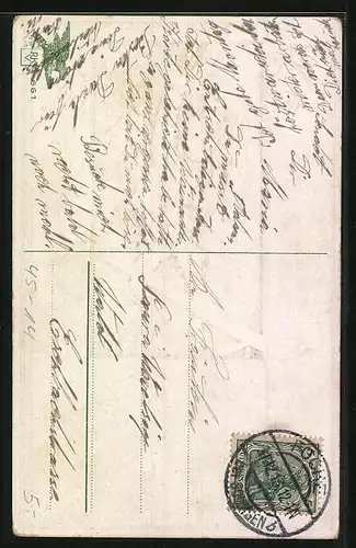 AK Junge fährt auf Ski ins Tal