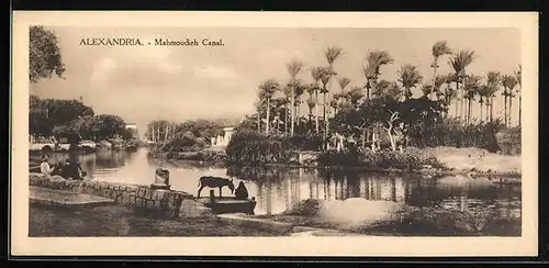 Mini-AK Alexandria, Mahmoudieh Canal