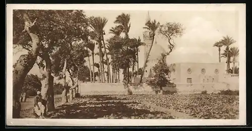 Mini-AK Alexandria, Mosque of Sidi Gaber