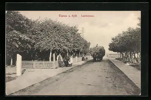 AK Tinnum / Sylt, Blick auf die Landstrasse, mit Heuwagen