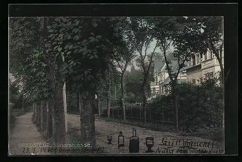 AK Bredstedt, Süderstrasse mit Villen