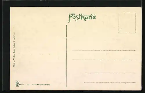 AK Bornhöved, Panorama, Partie am Bornhöveder See, Am Markt