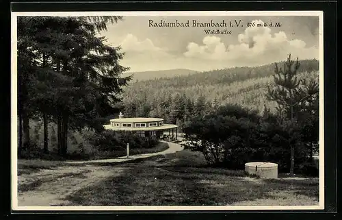 AK Brambach i. V., Radiumbad, Waldkaffee