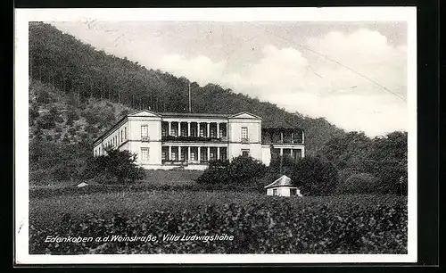 AK Edenkoben a.d. Weinstrasse, Villa Ludwigshöhe