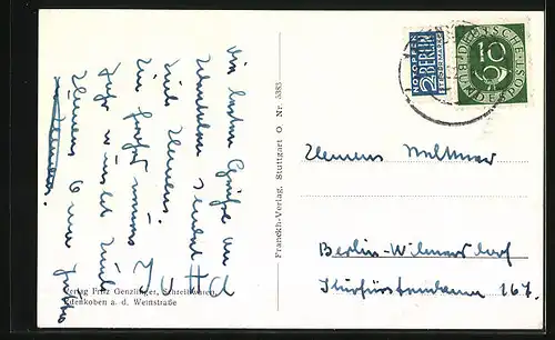 AK Edenkoben a.d. Weinstrasse, Villa Ludwigshöhe