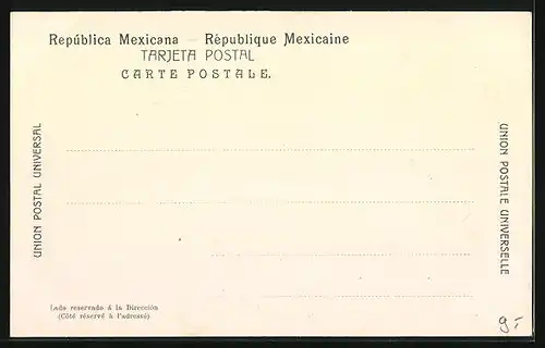 AK Vera Cruz, Calle de Miguel Lerdo