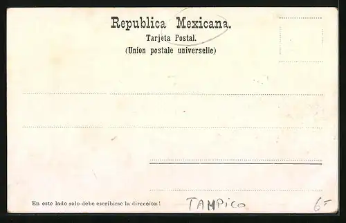 AK Tampico, Centro Plaza de la Constitución