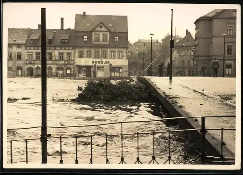 Fotografie G. Scheckel, Penig, Ansicht Penig, Hochwasser mit Treibgut an der Brücke beim Konsum 1954