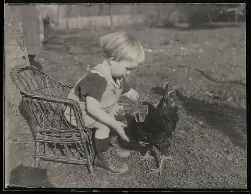 Fotografie niedliches Kind streichelt zahmen Hahn